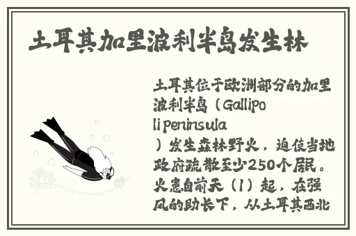 蜜芽跳转接口首页